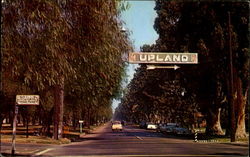 Upland, Euclid Ave California Postcard Postcard