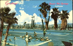 Desert Highlands Hot Springs Postcard