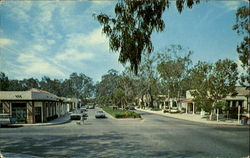 Rancho Santa Fe California Postcard Postcard