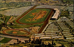 Santa Anita Park, Arcadia California Postcard Postcard