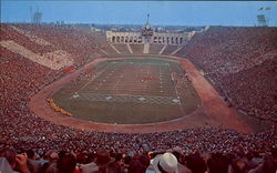 Coliseum At Exposition Park Postcard