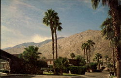 Rave Lodge Palm Springs, CA Postcard Postcard