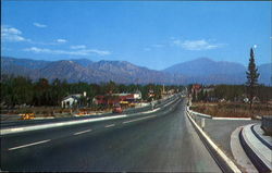 San Bernardino, Highland Ave. California Postcard Postcard