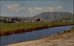 Paper Mill Creek Point Reyes Station, CA Postcard Postcard