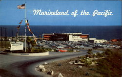 Marineland Of The Pacific Postcard