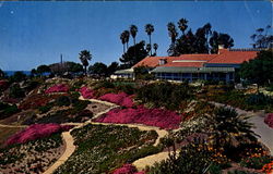 Laguna Beach Postcard