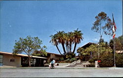 Los Angeles State And County Arboretum Postcard