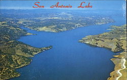 San Antonio Lake Bradley, CA Postcard Postcard