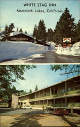 White Stag Inn Mammoth Lakes, CA Postcard Postcard