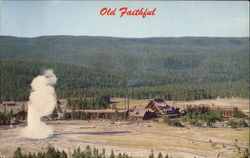Old Faithful Geyser And Inn Postcard