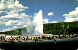 Old Faithful Geyser Postcard