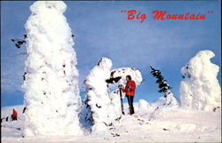 Big Mountain Snow Ghosts Postcard
