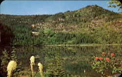 Silver Lake Scenic, MT Postcard Postcard