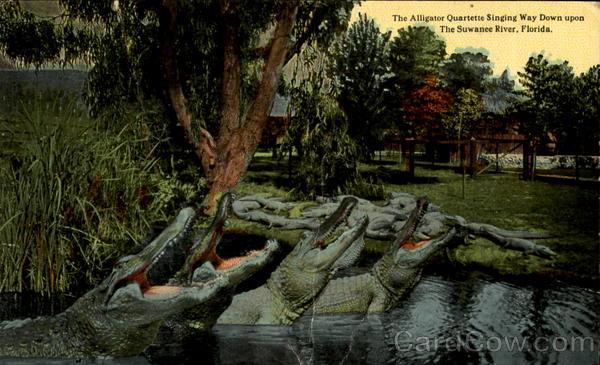 The Alligator Quartette Singing Way Down Florida Alligators