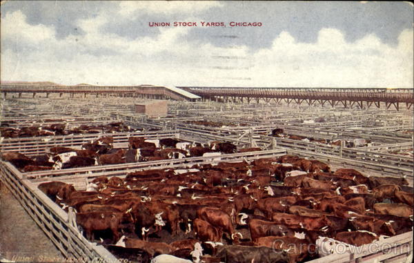 Union Stock Yards Chicago Illinois