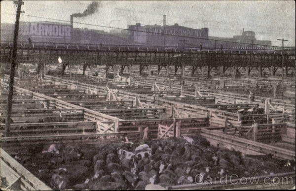 Union Stock Yards Chicago Illinois
