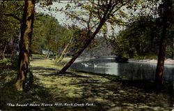 The Swans Above Pierce Mill, Rock Creek Park Postcard