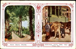 Palm Beach Postcard
