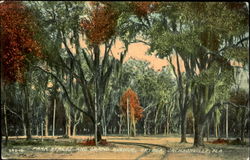 Stock #128579 Thumbnail