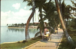Walk Along Lake Worth Palm Beach, FL Postcard Postcard