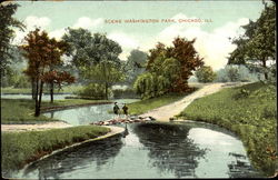 Scene Washington Park Postcard
