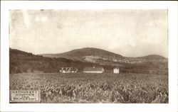 Wachusett Mountain From Princeton Postcard