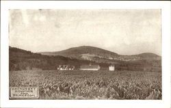 Wachusett Mountain From Princeton Massachusetts Postcard Postcard