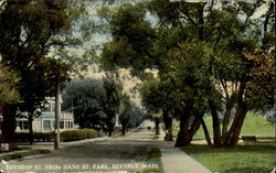 Lothrop St. From Dane St. Park Beverly, MA Postcard Postcard