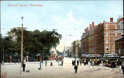Harvard Square Postcard