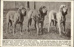 Stock #129031 Thumbnail