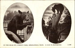 A Study In Physiognomy, Forest Park Postcard