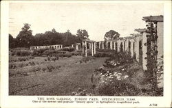 The Rose Garden, Forest Park Postcard
