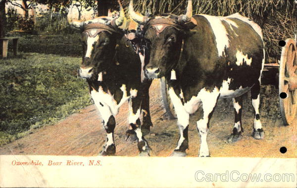 Ozomobile Bear River NS Canada Nova Scotia