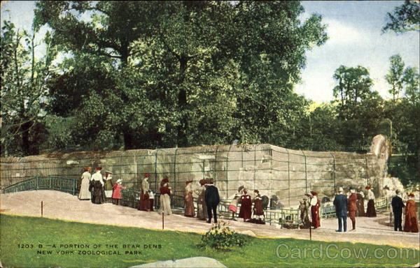 A Portion Of The Bear Dens, New York Zoological Park New York City