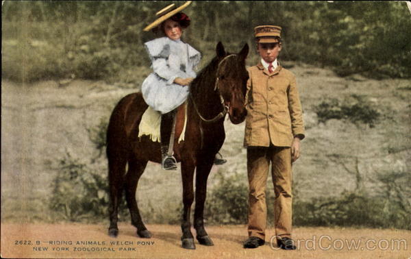 Riding Animals, New York Zoological Park New York City