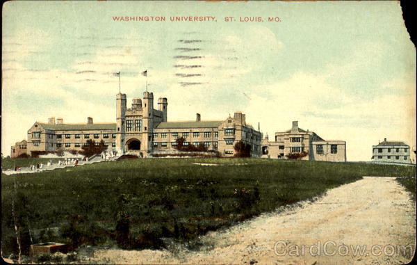 Washington University St. Louis Missouri