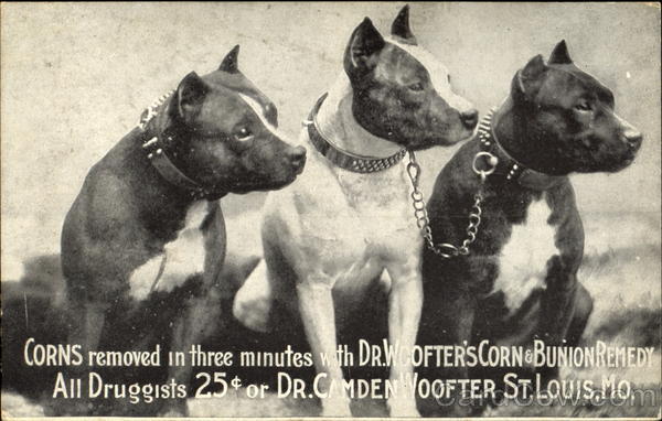 Dogs - Corn & Bunion Advertising St. Louis Missouri