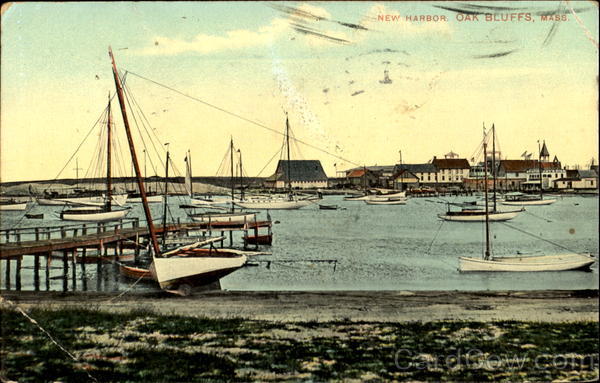 New Harbor Oak Bluffs Massachusetts