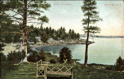 Point Pleasant Halifax, NS Canada Nova Scotia Postcard 