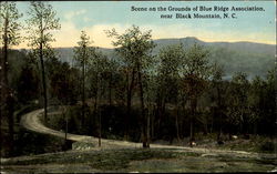 Scene On The Grounds Of Blue Ridge Association Black Mountian, NC Postcard Postcard