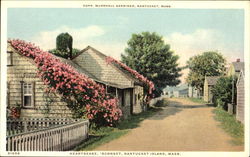 Heartsease Sconset Postcard