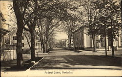 Federal Street Postcard