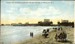 Ponies On The Beach, Million Dollar Pier Postcard