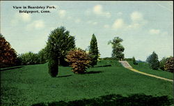 View In Beardsley Park Postcard