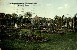 The Rose Garden In Elizabeth Park Hartford, CT Postcard Postcard