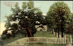 The Old Charter Oak Postcard