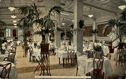 National Hotel Winter Garden Postcard