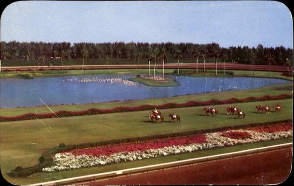 Parading To The Post On The Turf Miami Florida