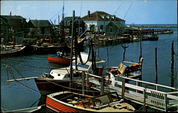 Menemsha Basin Martha's Vineyard Massachusetts