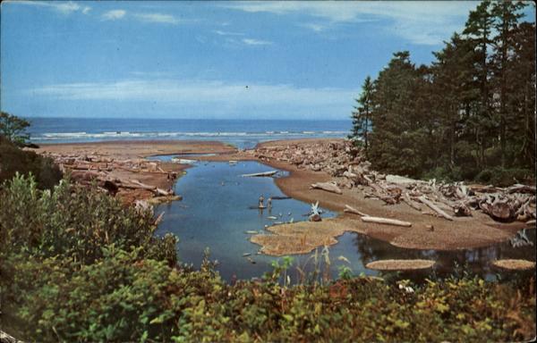 Kalaloch Beach Scenic Washington